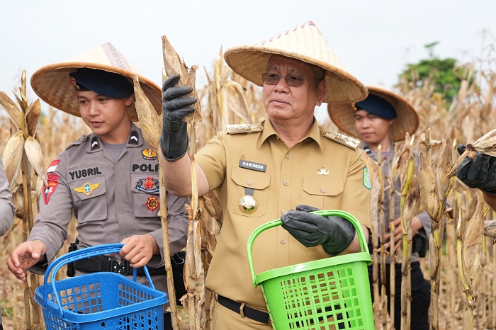 JAGUNG: Harisson hadir dalam gerakan penanaman jagung serentak di lahan Lanud Harry Hadisoemantri, Kecamatan Sanggau Ledo, Kabupaten Bengkayang bersama jajaran Forkopimda Kalbar.