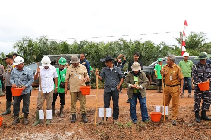 TANAM JAGUNG : Jajaran Forkopimda ikut menanam jagung di Kecamatan Muara Pawan, Selasa (21/1).