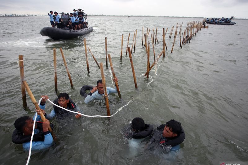 BONGKAR PAGAR: Pasukan Komando Pasukan Katak (Kopaska) TNI-AL bersama nelayan membongkar pagar laut di kawasan Pantai Tanjung Pasir, Kabupaten Tangerang, Banten, Rabu (22/1/2025).
