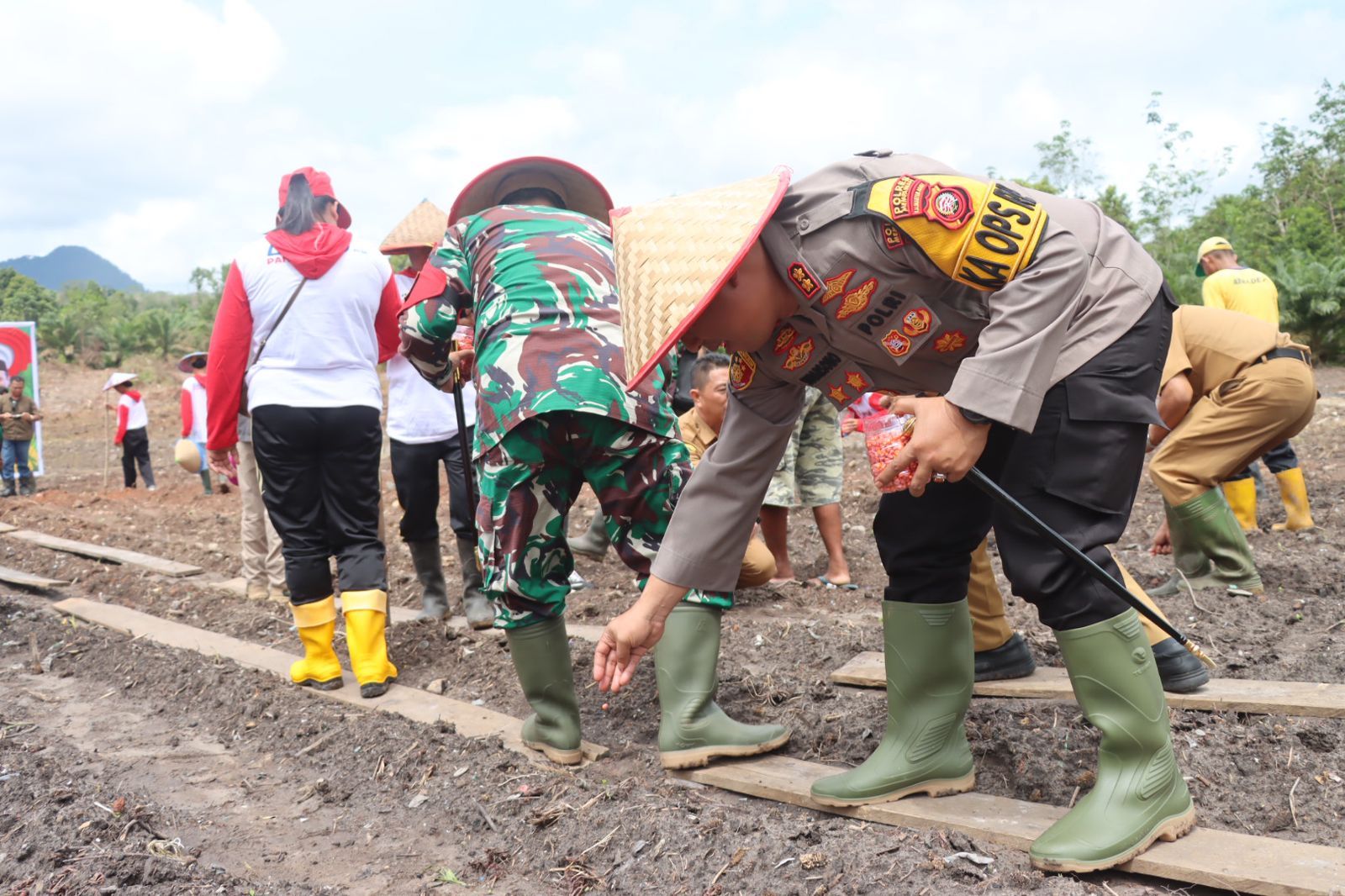 Kapolres dan para pejabat Pemkab Mempawah melakukan penanaman serentak jagung.