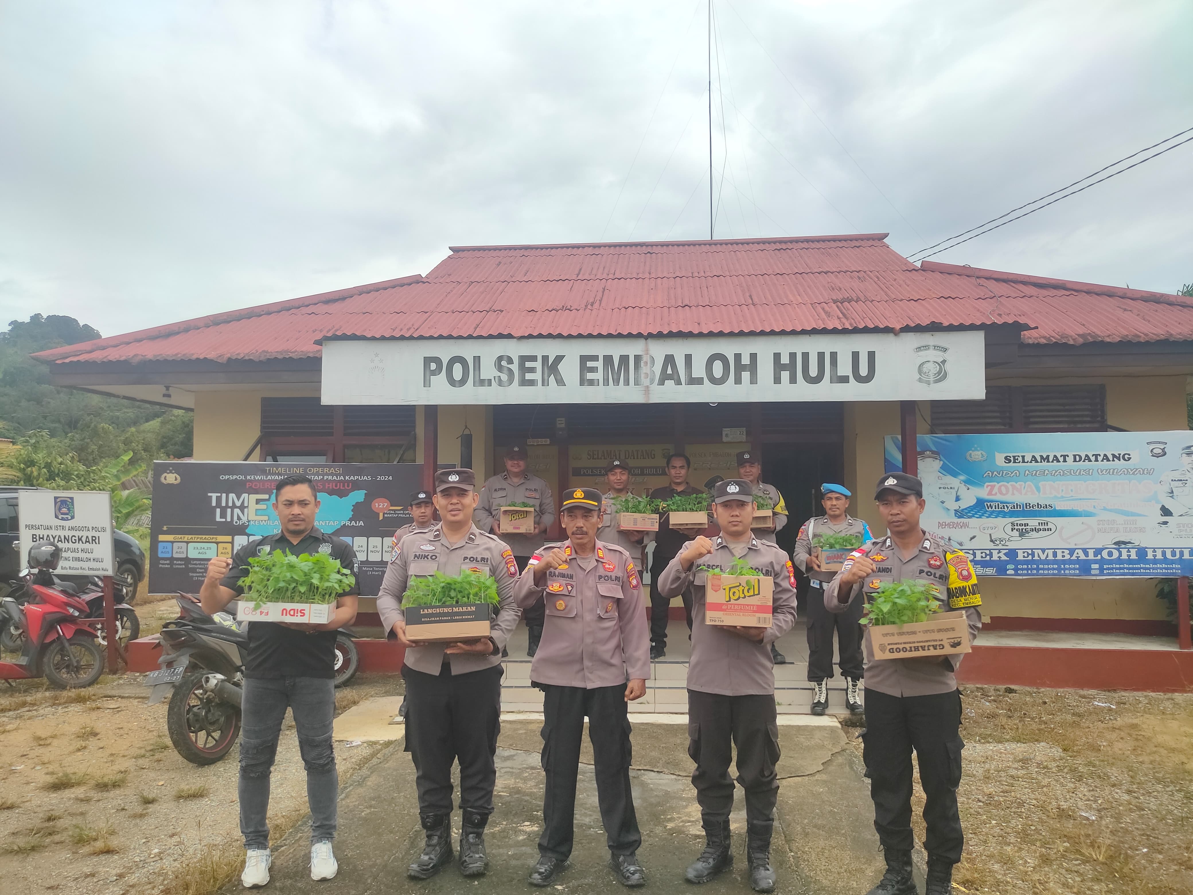 BIBIT : Polsek Embaloh Hulu saat membagikan bibit cabe untuk mendukung program ketahanan pangan.