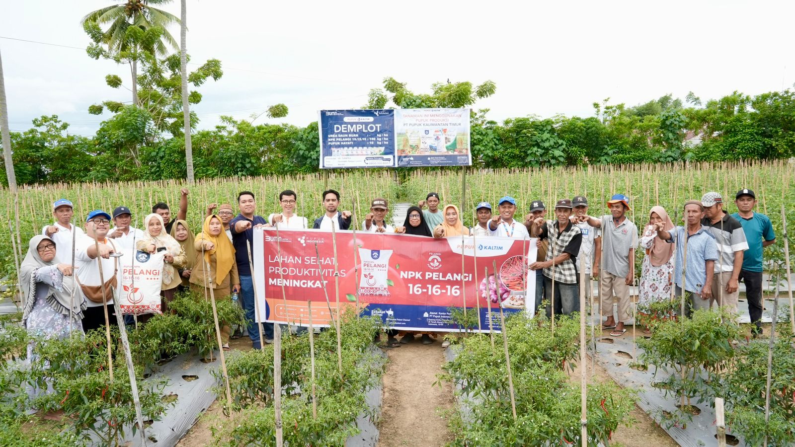 Pupuk Kaltim saat menggelar rogram Agrosolution di wilayah timur Indonesia.