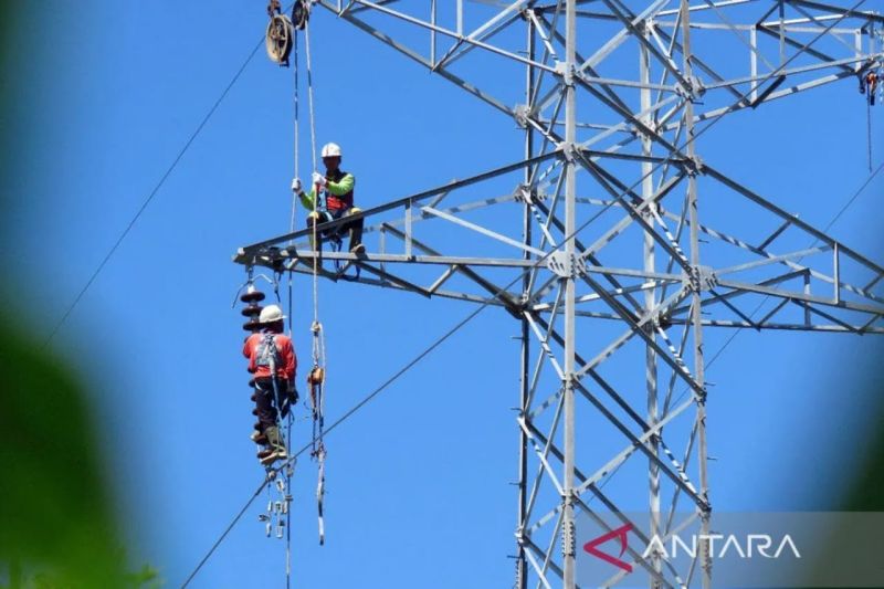 Ilustrasi - Petugas PLN sedang melakukan pemeliharaan jaringan.