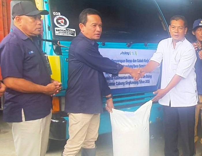 SERAP PRODUKSI PETANI: Pimpinan Bulog Kalbar saat berkunjung ke sentra pertanian Kabupaten Sambas. Bulog siap menyerap produksi petani padi di kabupaten ini.