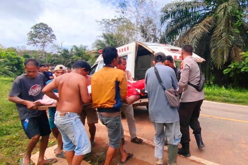 Korban meninggal dunia akibat laka tunggal dievakuasi ke Puskesmas Nanga Tayap.