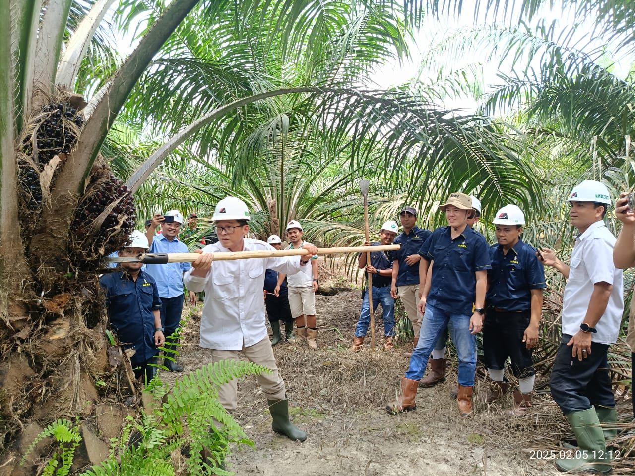 Pimpinan PT Aditya Agroindo Bapak Gunawan Salim melakukan panen perdana kelapa sawit di lokasi kebun kas desa.