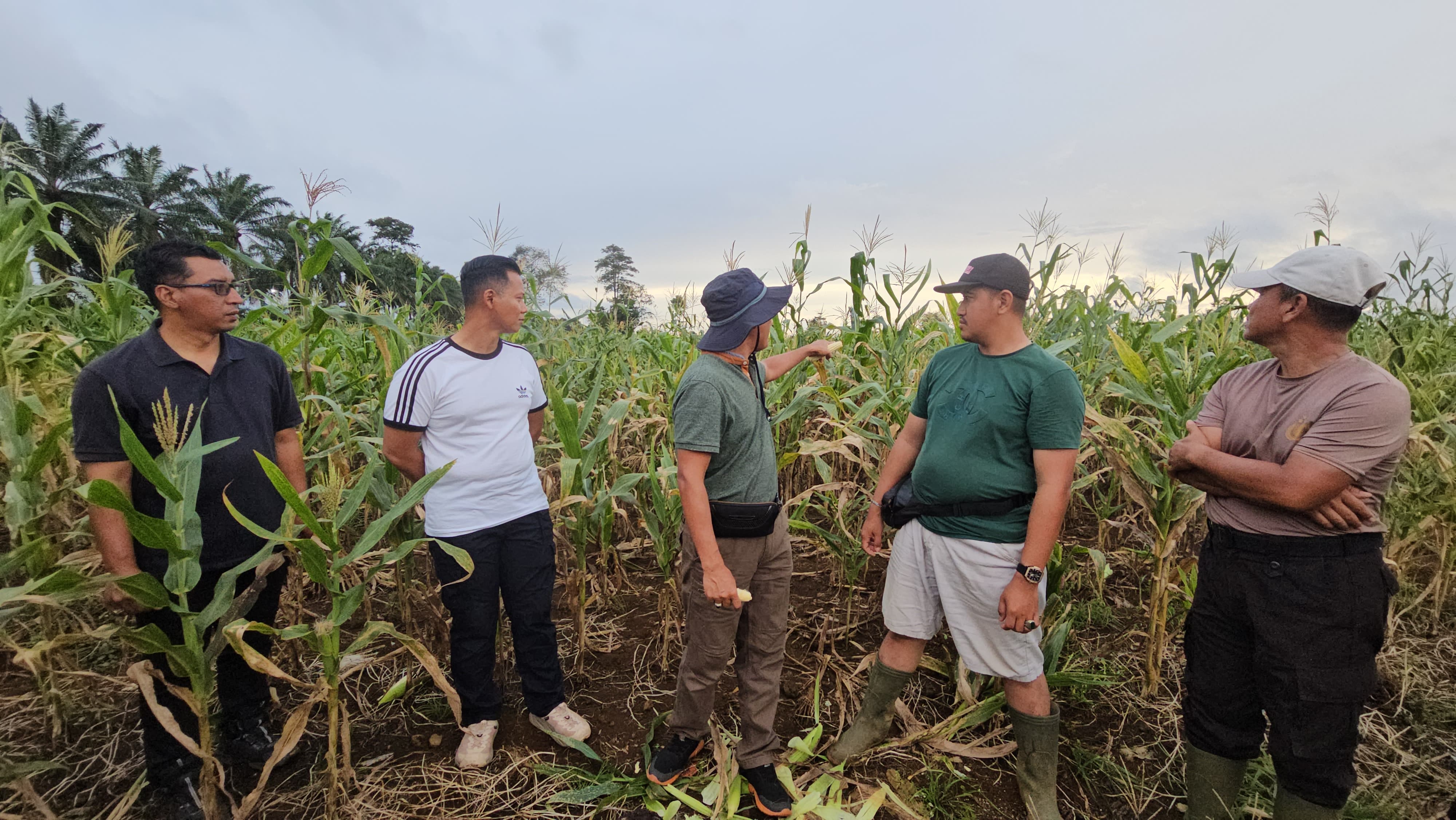 Kapolres Bengkayang, AKBP Teguh Nugrohob mendampingi Prof. Dr. Ir. Ali Zum Mashar dalam kunjungan ke lahan jagung di Lanud Harry Hadisoemantri, Minggu (9/2).