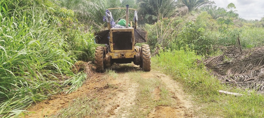 ALTERNATIF : Pengerjaan jalan alternatif di Dusun Engkayuk Desa Maringin Jaya, Kamis (13/2).