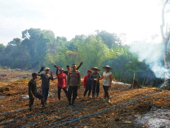 TANAM JAGUNG: Anggota Polsek Sebangki bersama kelompok tani tanam jagung hibrida dalam rangka mensukseskan program ketahanan pangan.