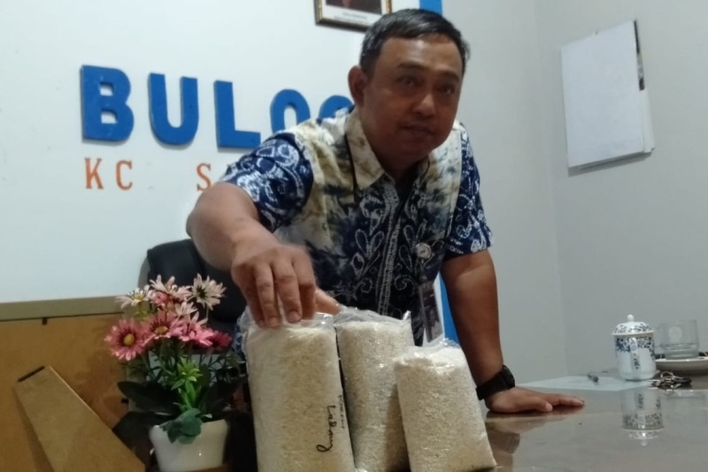 Kacab Bulog Sanggau memperlihatkan sampel beras lokal dari Sekayam dan Parindu yang memenuhi syarat untuk dijual ke Bulog.
