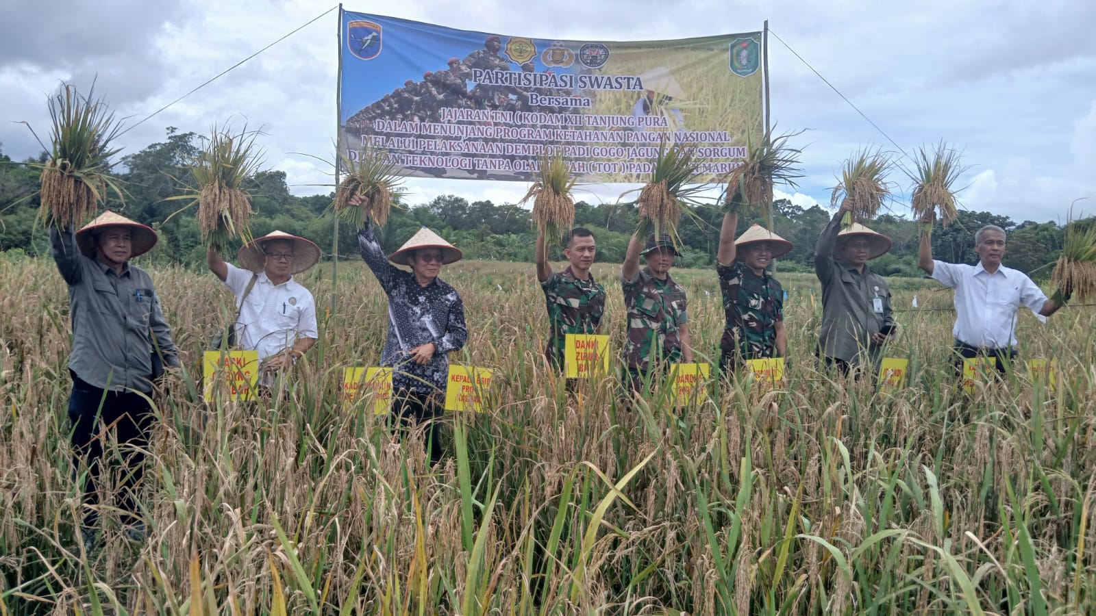 Panen perdana program TOT Kodam XII/Tpr di Bengkayang.