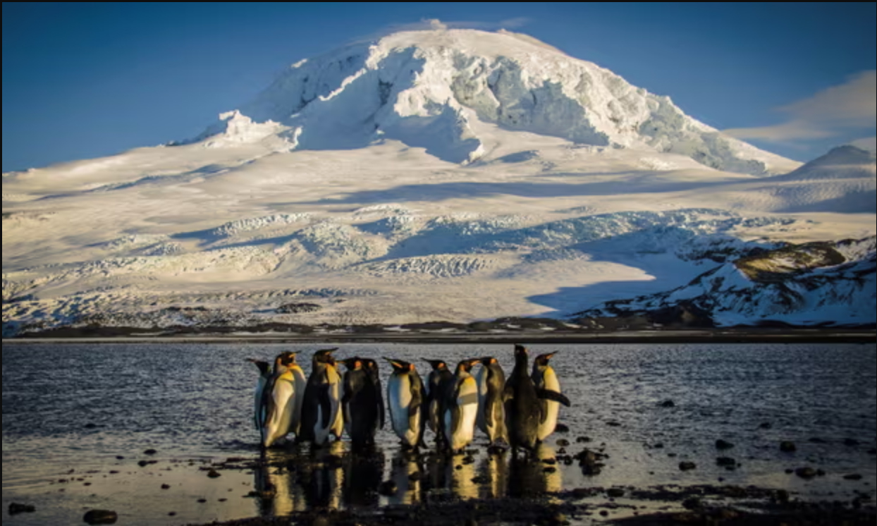 TAK BERPENGHUNI: Hanya penguin yang meninggali Pulau Heard. Pulau tak berpenghuni yang berada dekat kutub selatan ini pun terdampak kebijakan tarif Donald Trump.