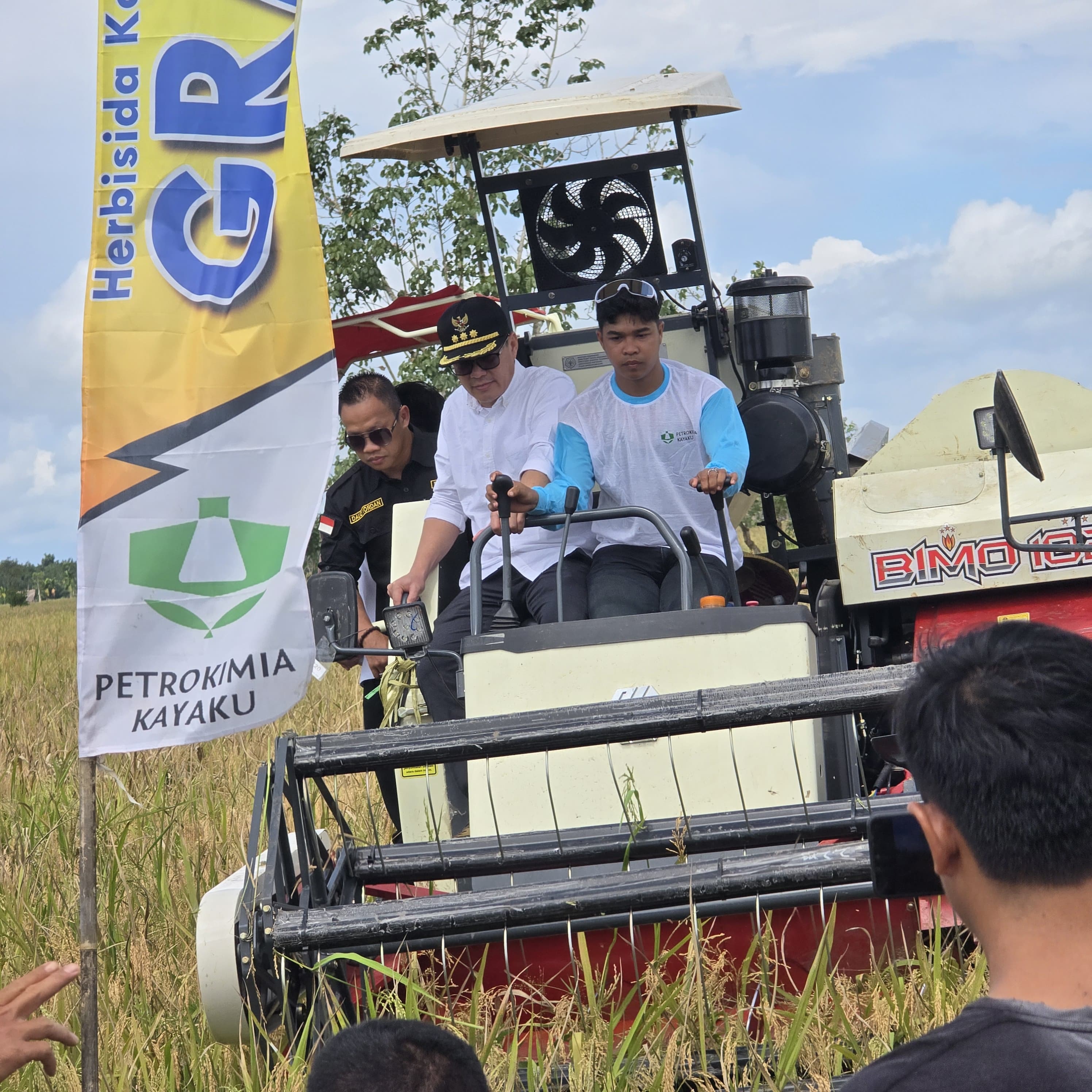 PANEN RAYA : Kegiatan panen raya padi di Desa Padu Banjar, Kecamatan Simpang Hilir, Kabupaten Kayong Utara Senin (7/4).