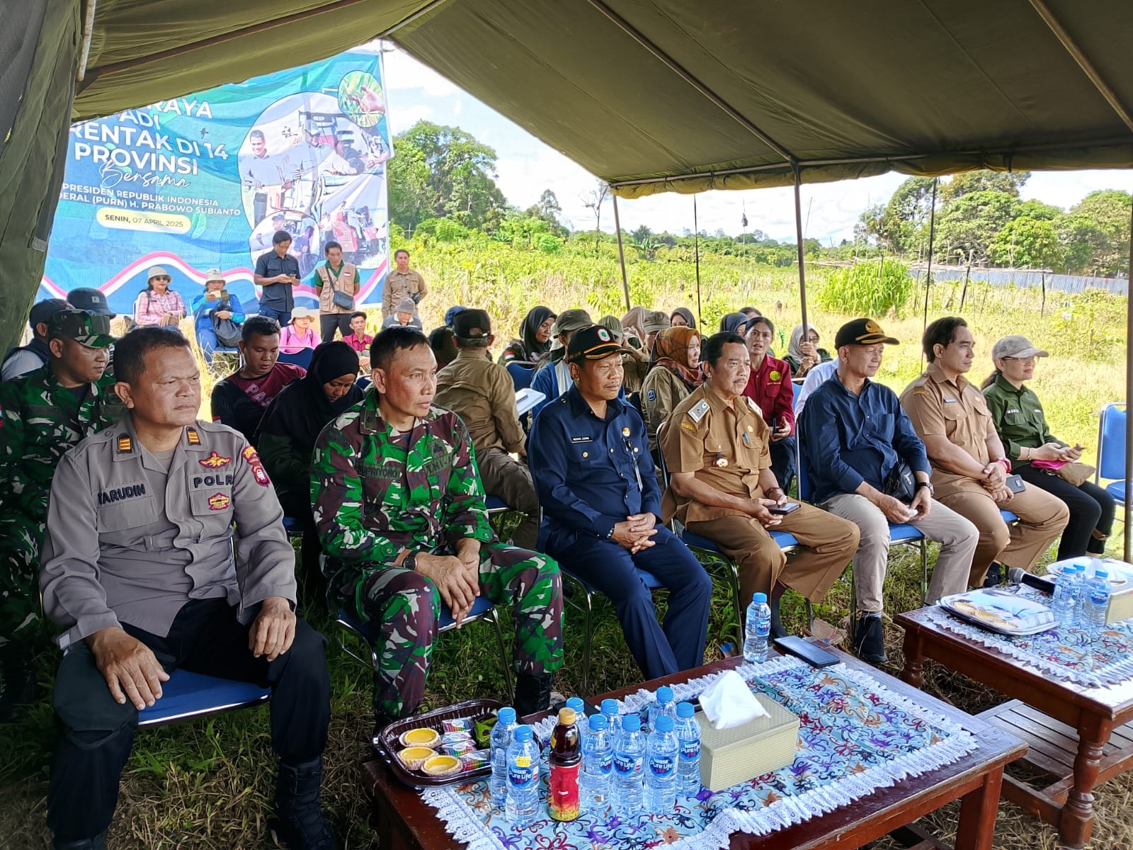 SERENTAK: Kapuas Hulu turut ambil bagian dalam kegiatan Panen Raya Padi Serentak yang digelar secara daring Senin, 7 April 2025. Kegiatan panen berlangsung di lahan milik Kelompok Tani Sekar Melati.