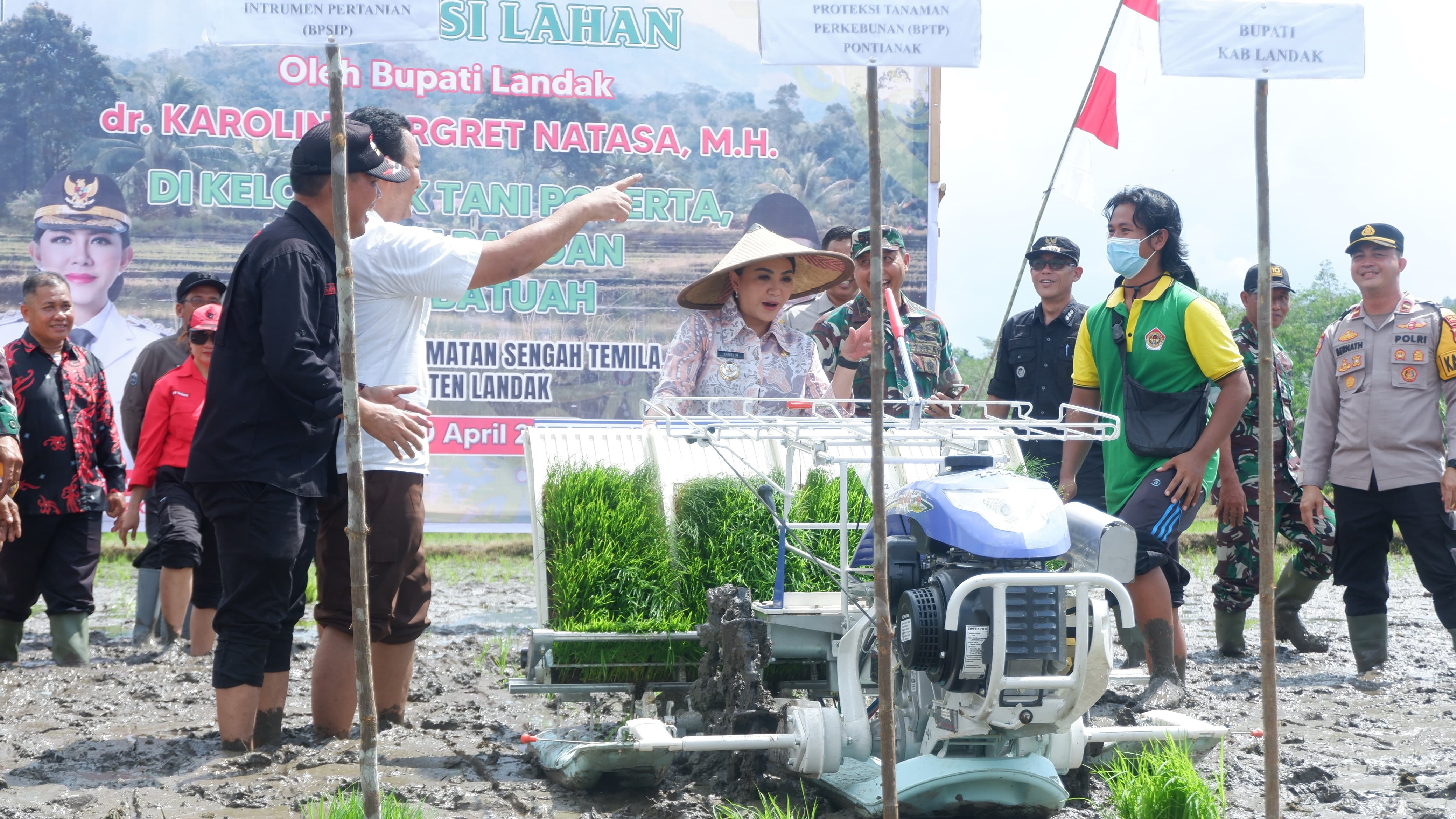 TANAM PADI: Bupati Landak Karolin Margret Natasa bersama Poktan Pokerta Desa Andeng, menanam padi perdana lokasi optimalisasi lahan Brigade Pangan Binua Batuah,, Kecamatan Sengah Temila, Kamis (10/4).