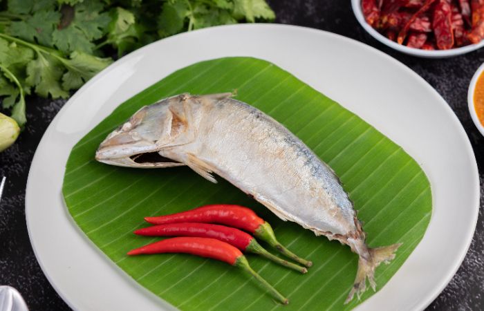 Ilustrasi ikan bandeng yang dapat diolah menjadi berbagai masakan.