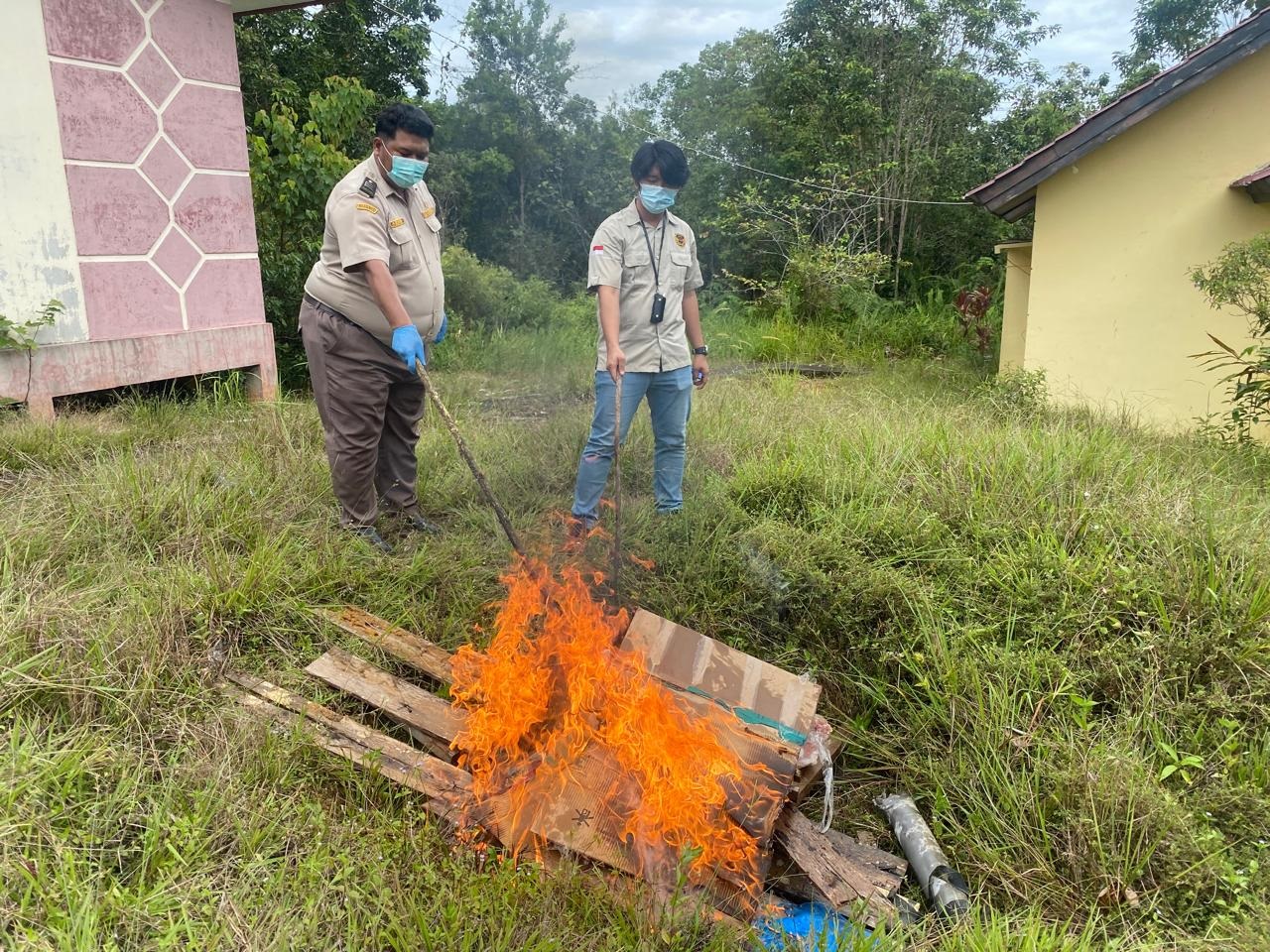 CEGAH HPHK: Pemusnahan daging sapi tanpa dokumen dilakukan Karantina Kalbar Satpel PLBN Badau.