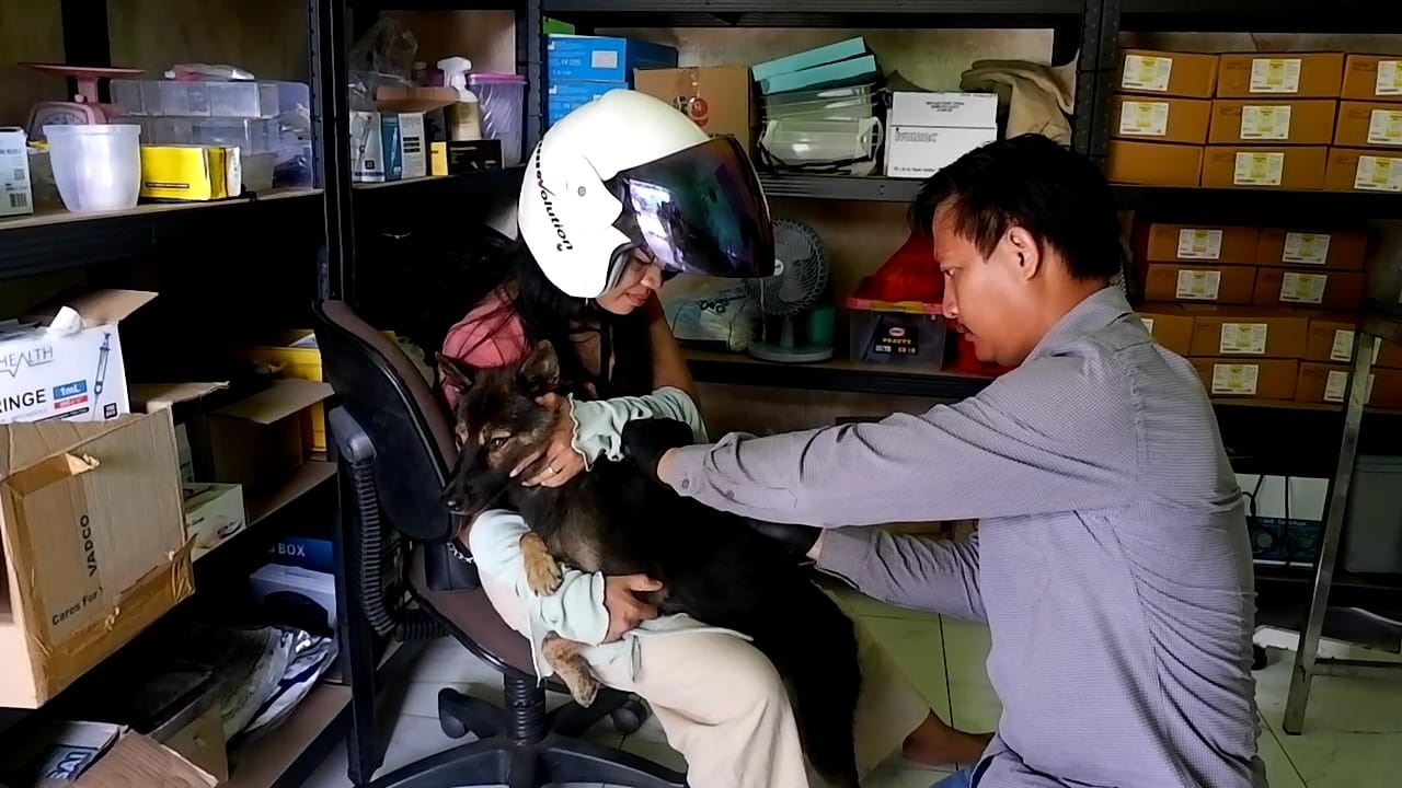 VAKSIN RABIES: Seorang warga membawa hewan peliharaan ke klinik hewan milik Dinas Pertanian, Perikanan, dan Ketahanan Pangan Kabupaten Landak, untuk divaksin rabies.