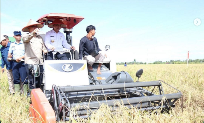 PANEN: Gubernur Kalbar Ria Norsan bersama Forkopimda melaksanakan panen dan tanam padi serentak di Desa Mansere, Kabupaten Sambas, Senin (6/4).