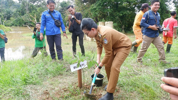 TANAM POHON: Bupati Landak, Karolin Margret Natasa, saat menanam pohon dalam rangka memperingati Hari Bumi Internasional 2025, Selasa (22/4) pagi.
