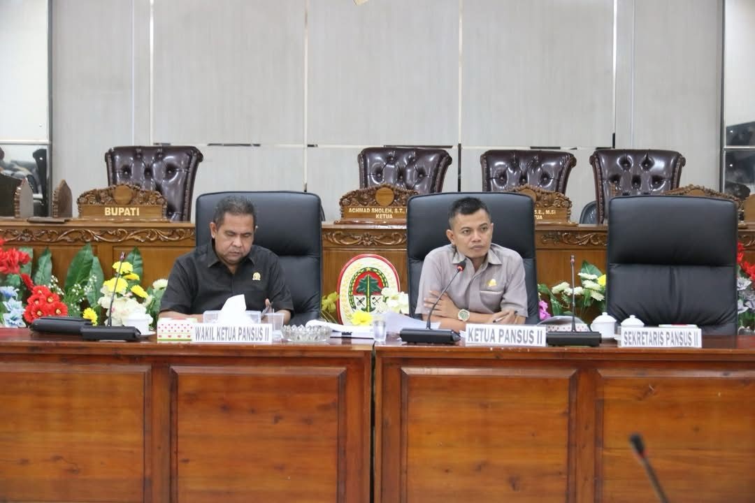 RAKER: Ketua Pansus II, Fathol Bari, memimpin rapat kerja bersama OPD membahas Raperda Penghormatan, Perlindungan, dan Pemenuhan Hak Penyandang Disabilitas.