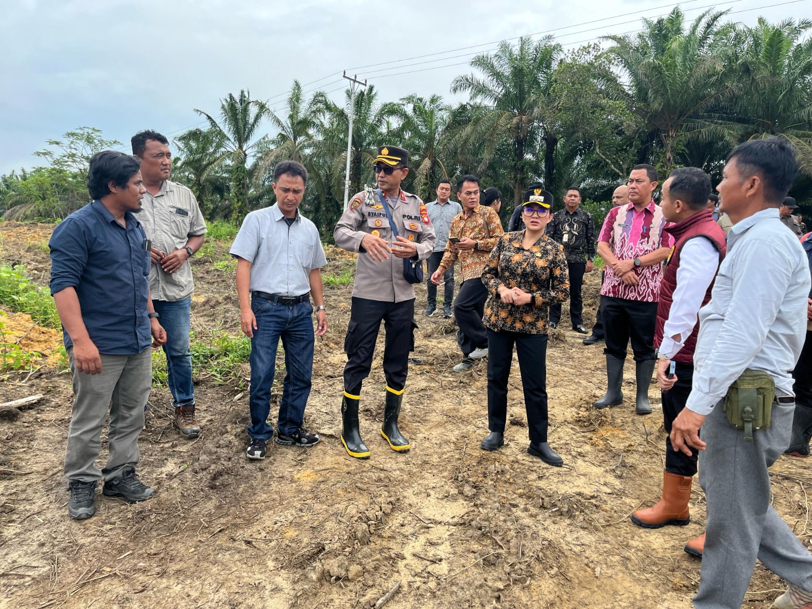PANTAU : Bupati Landak, Karolin Margret Natasa saat meninjau demplot lahan tanam jagung yang berada di areal milik PTPN IV Regional V di Desa Amboyo Inti, Kecamatan Ngabang, Kamis (24/4).