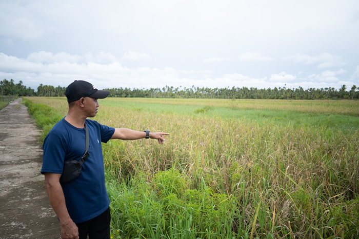 LADANG : Hendi, warga Desa Wajok Hilir, Kecamatan Jongkat, Kabupaten Mempawah menunjukkan ladang padi yang tersisa di desa itu. //SITI PONTIANAK POST