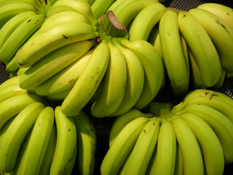 Ilustrasi buah pisang yang kaya akan nutrisi.