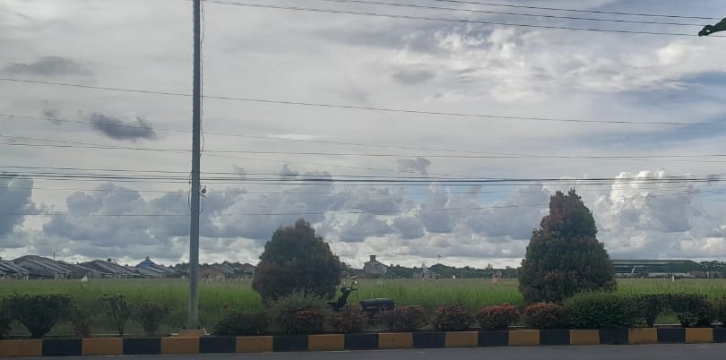 POTENSIAL: Lahan sawah di Kabupaten Sambas masih potensial dimaksimalkan untuk tingkatkan hasil beras.