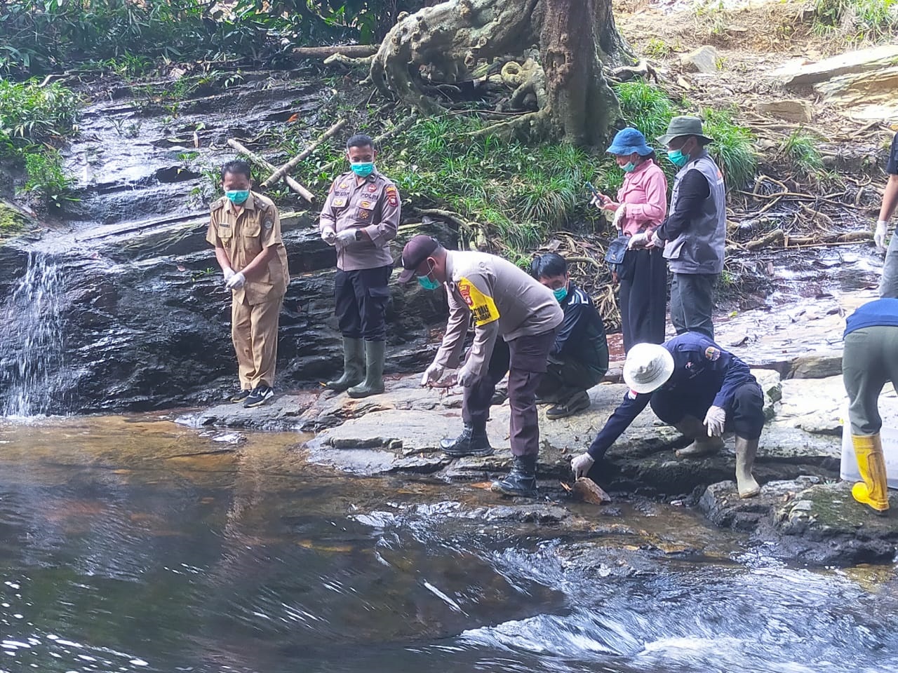 DILEPAS: BKSDA Seksi Konservasi Wilayah III Singkawang bersama Polsek Air Besar Melepaskan satwa di habitatnya. Tepatnya di kawasan penyangga hutan lindung Riam Ansiang Sekuju.