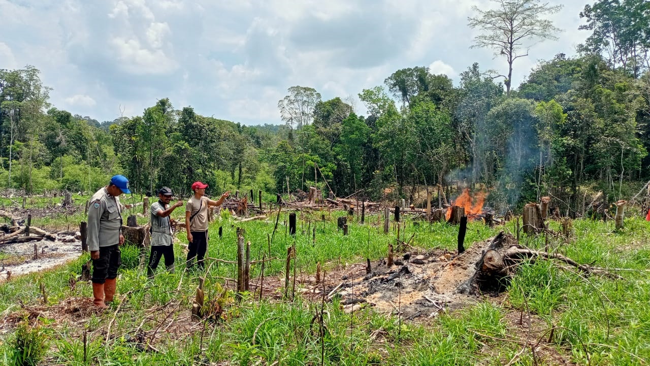 TINJAU: Tim Polsek Kuala Behe saat meninjau lahan yang akan ditanami jagung di Desa Kuala Behe, Rabu (7/5).