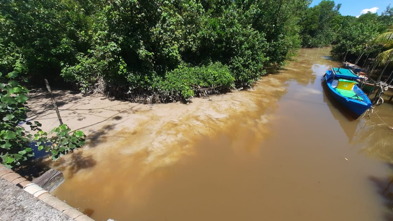 SUNGAI: Kondisi aliran sungai di sekitar Desa Pangkalan Buton, Kecamatan Sukadana, Kabupaten Kayong Utara, Provinsi Kalimantan Barat diduga tercemar.