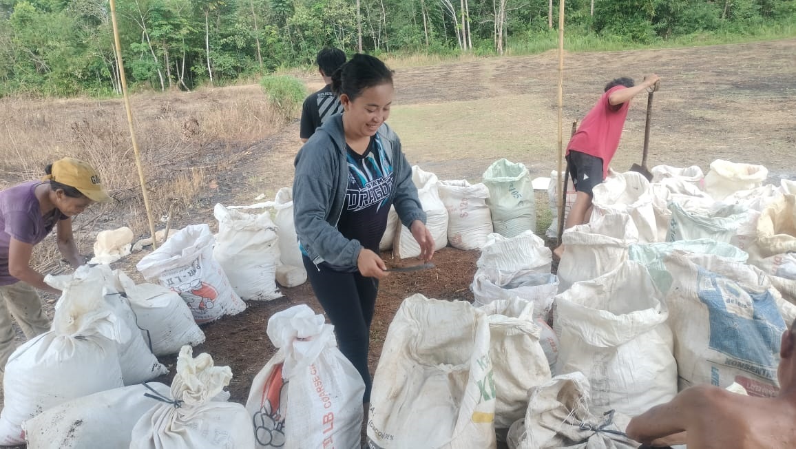 MENGOLAH PUPUK: Sejumlah petani di Kabupaten Landak saat mengolah pupuk organik untuk lahan mereka.
