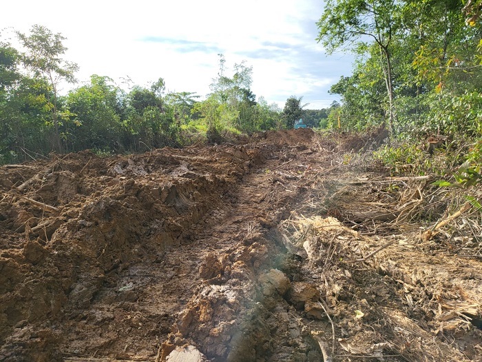 Pembukaan akses jalan yang pernah dilakukan PT RJM pada tahun 2023.
