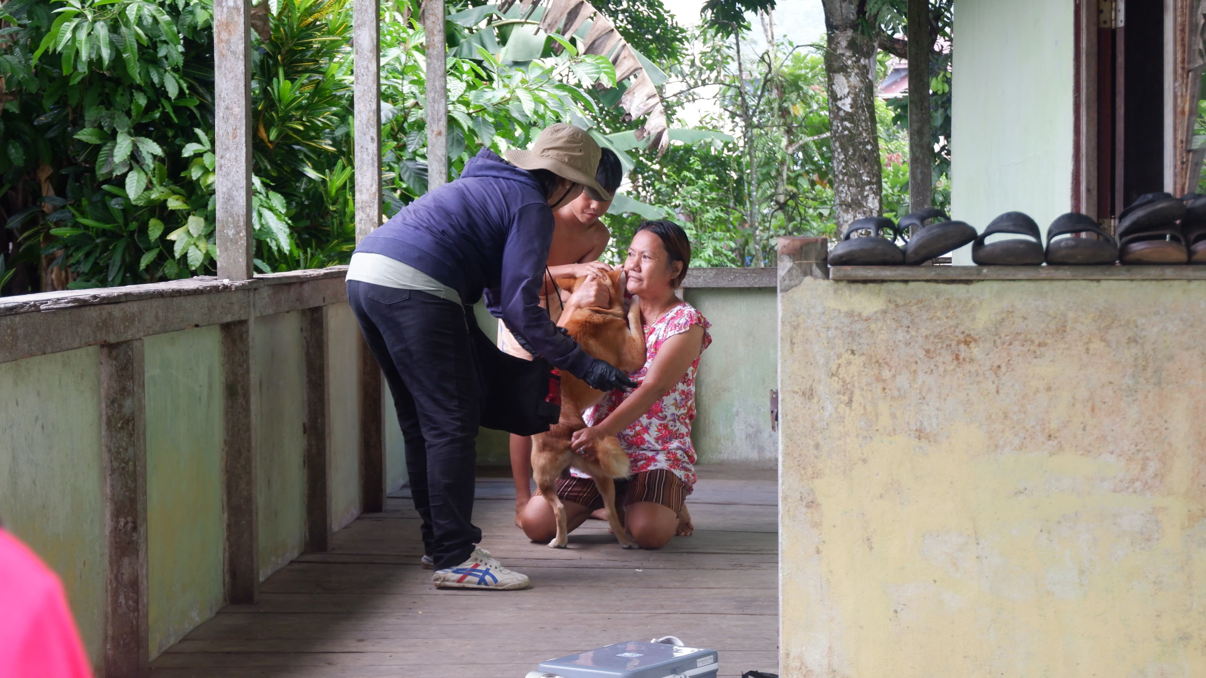 VAKSINASI: Petugas Dinas Pertanian, Perikanan dan Ketahanan Pangan Kabupaten Landak saat melakukan vaksinasi terhadap hewan peliharaan anjing dan kucing di Desa Paloan.