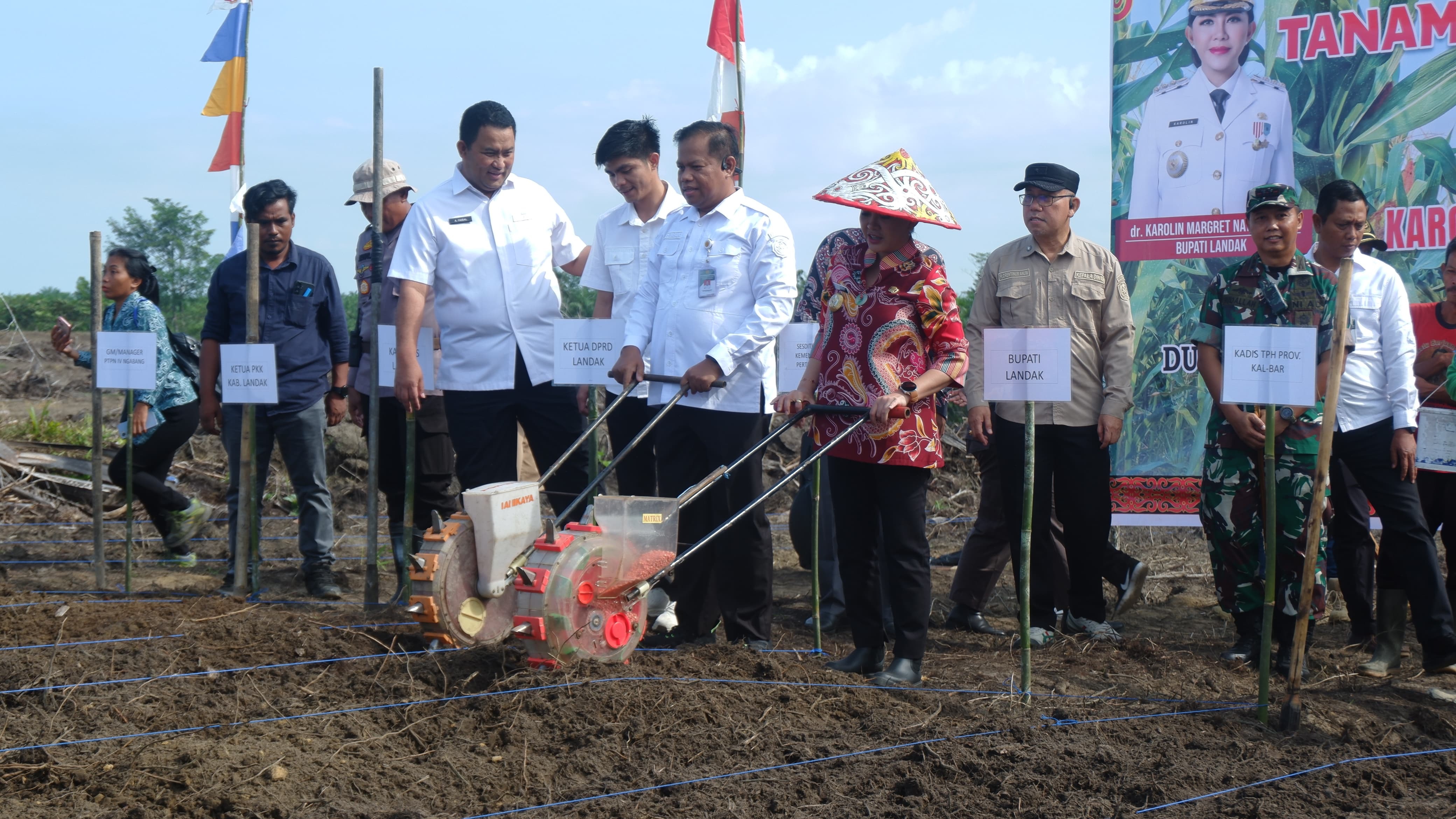TANAM JAGUNG: Bupati Landak Karolin Margret Natasa bersama Sesditjen Tanaman Pangan Kementerian Pertanian RI, Ahmad Musyafak, lakukan penanaman jagung perdana di lahan seluas 20 hektar milik PTPN IV