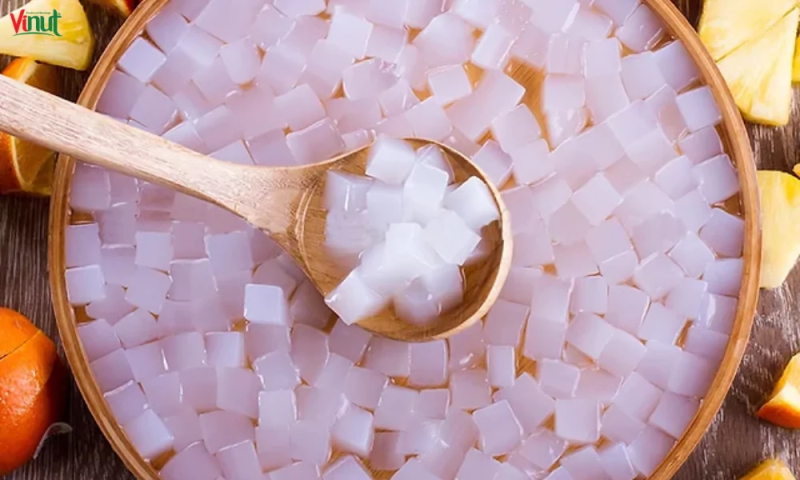 Ilustrasi nata de coco.