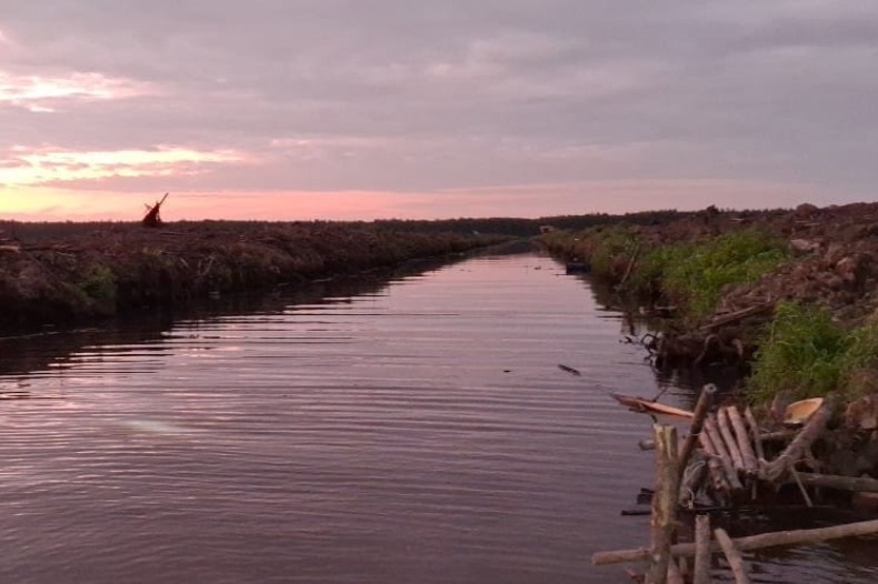 TENGGELAM: Lokas tempat tenggelamnya pria berinisial RY (22) di kanal Blok A Kompartemen A.45 milik PT WSL di Desa Kubu, Kecamatan Kubu, Kabupaten Kubu Raya.