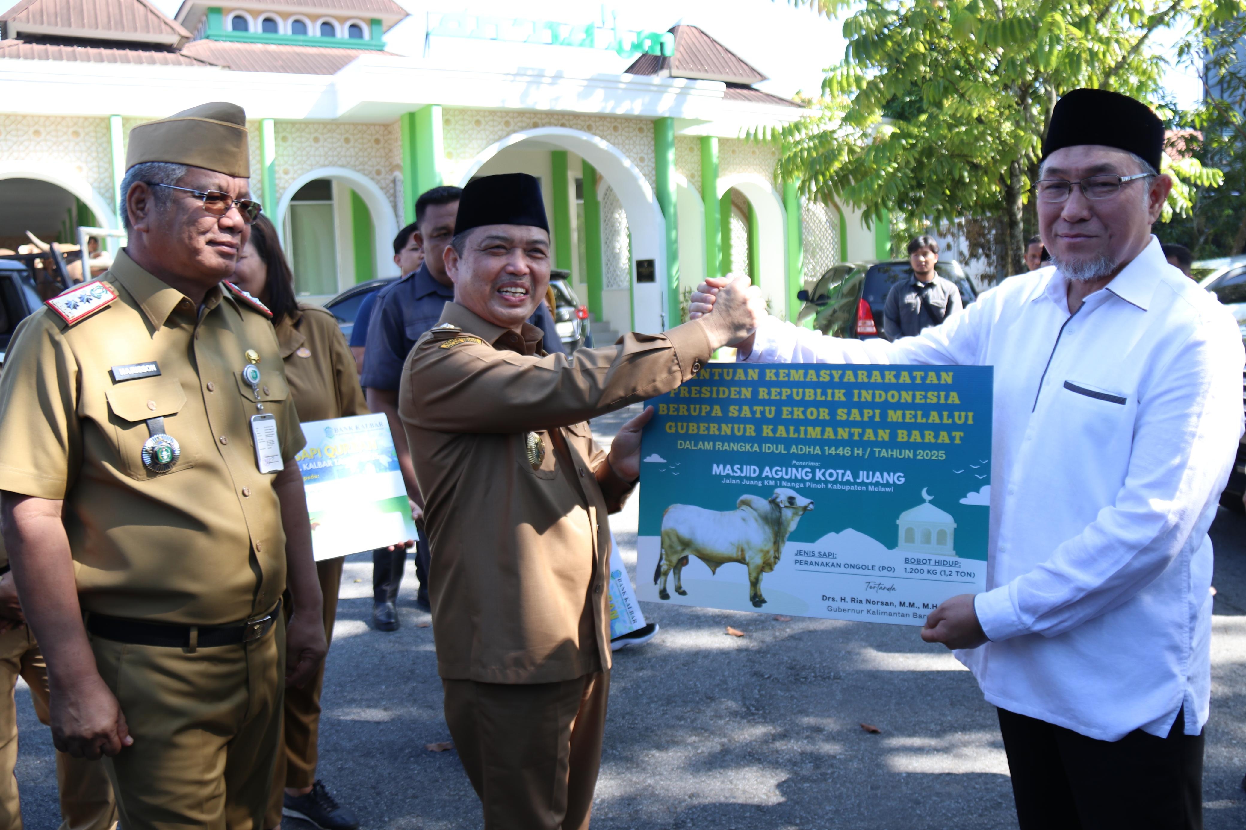 SAPI PRESIDEN: Gubernur Kalbar Ria Norsan secara simbolis menyerahkan sapi kurban bantuan Presiden RI kepada Sukiman untuk Masjid Agung Kota Juang, Kabupaten Melawi, Selasa (3/6).
