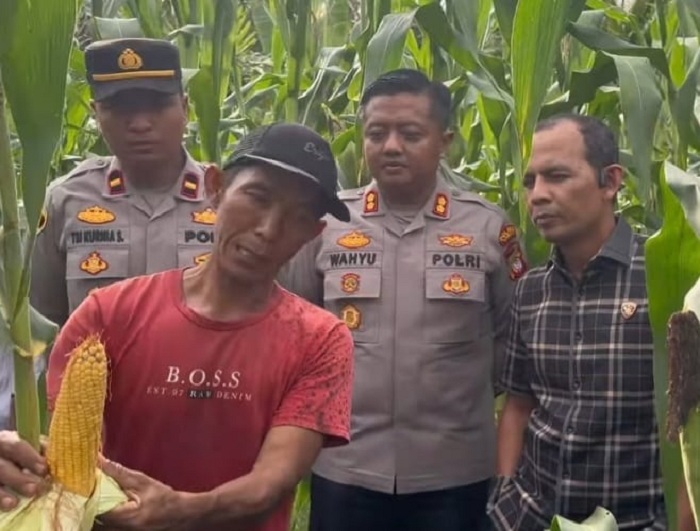 Kapolres Sambas saat pantau tanaman jagung di Semparuk.