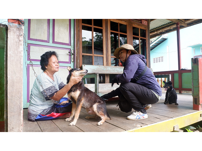 VAKSINASI : Petugas Dinas Pertanian, Perikanan, dan Ketahanan Pangan Kabupaten Landak saat melakukan vaksinasi rabies.