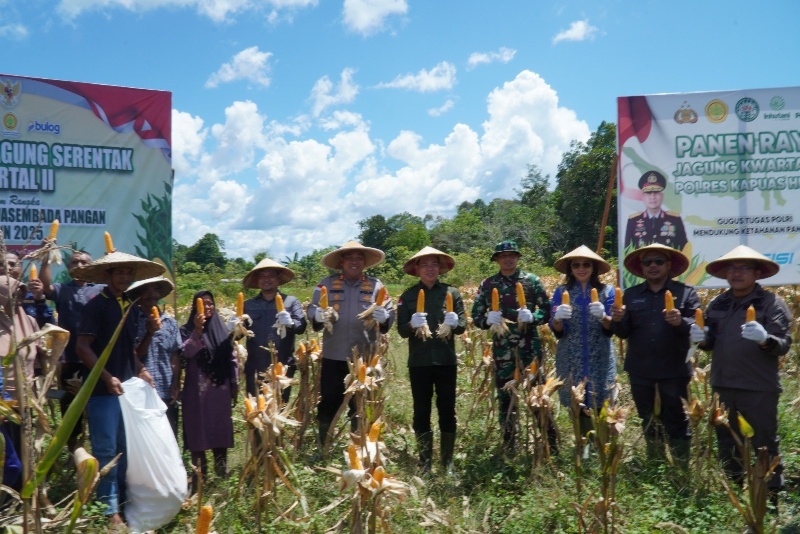 Polres Kapuas Hulu bersama Forkompinda saat melakukan panen raya jagung di Desa Kedamin Darat.