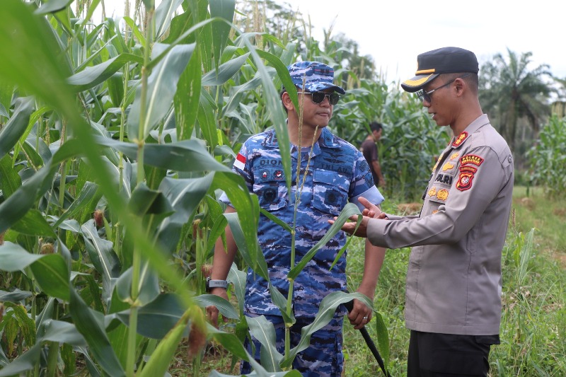 Polres Bengkayang dan Lanud Harry Hadisoemantri bersinergi untuk menyukseskan Panen Raya Jagung Serentak Kuartal II di Kecamatan Sanggau Ledo, Kabupaten Bengkayang.