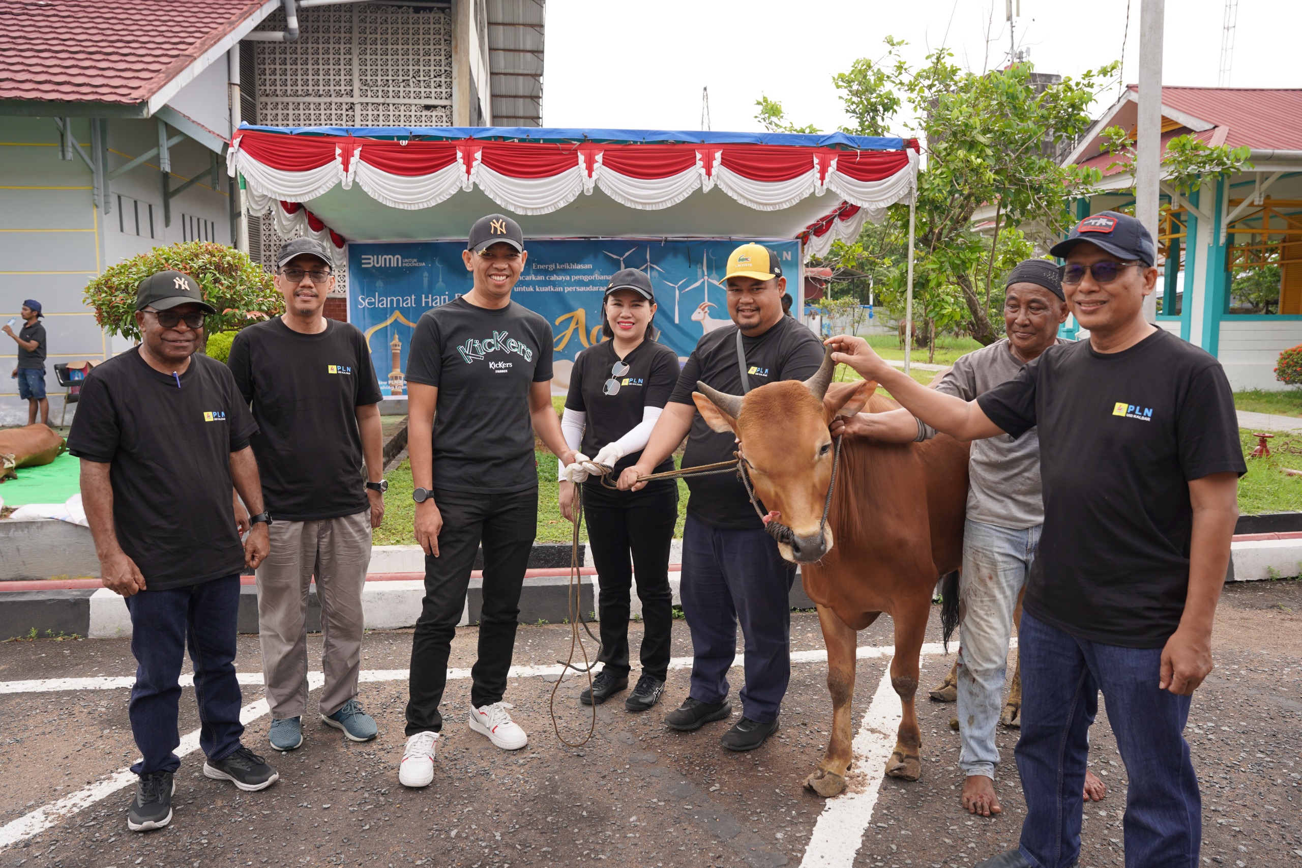 General Manager PLN UID Kalbar, Joice Lanny Wantania, menyerahkan sapi kurban kepada panitia sebagai wujud nyata kepedulian sosial dalam merayakan Idul Adha 1446 H.