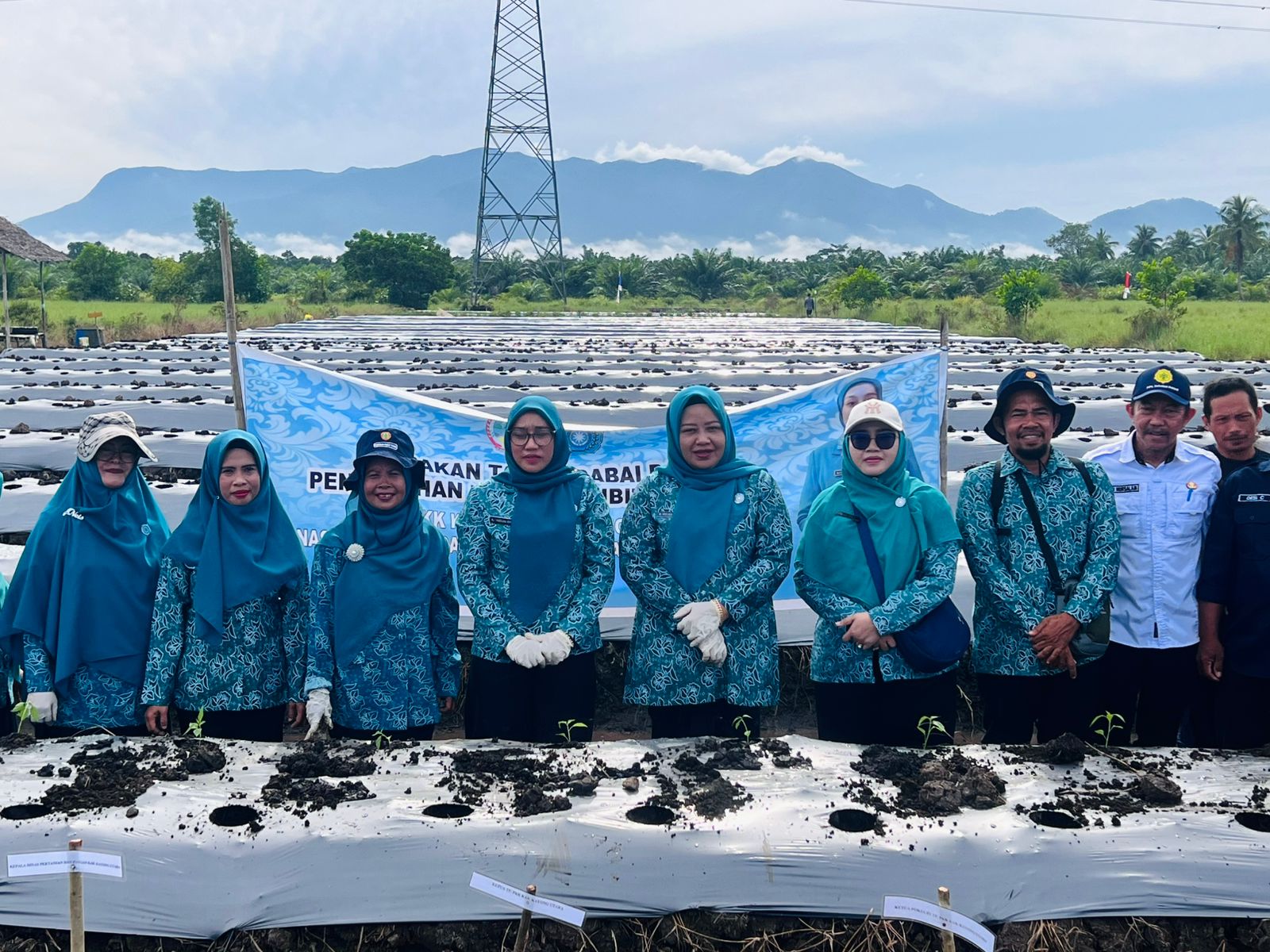 TANAM CABAI : Tim Penggerak PKK Kabupaten Kayong Utara menggelar kegiatan Gerakan Tanam Cabai. Foto Prokopim.