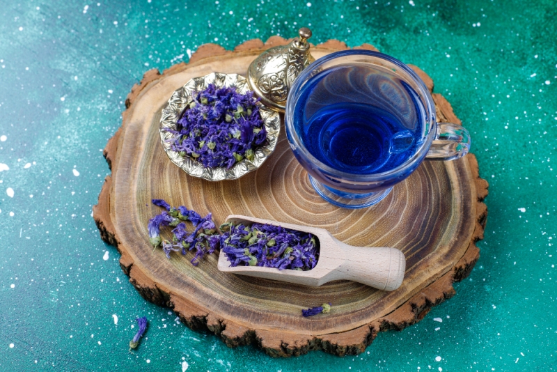 Ilustrasi teh bunga telang yang memiliki manfata bagi tubuh.