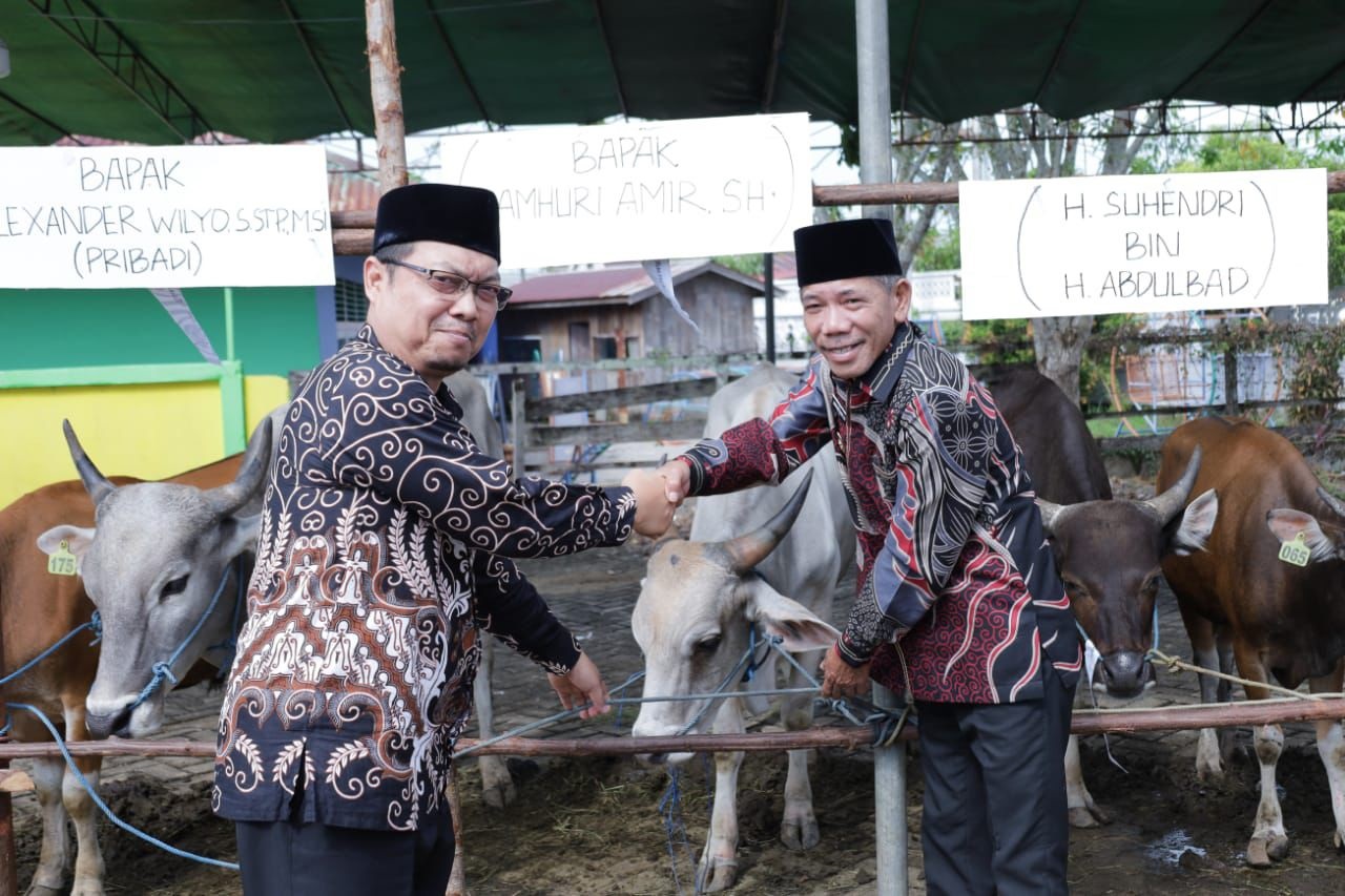 SERAHKAN KURBAN: Wabup Ketapang, Jamhuri Amir, menyerahkan sapi kepada panitia kurban Masjid Agung Al-Ikhlas Ketapang, Kamis (5/6).