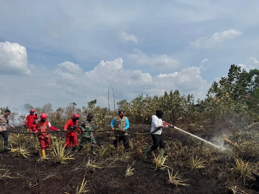 PADAMKAN API: Bupati Kubu Raya, Sujiwo bersama tim terpadu turun langsung memadamkan kebakaran lahan di Desa Limbung, Kecamatan Sungai Raya, Minggu (8/6).