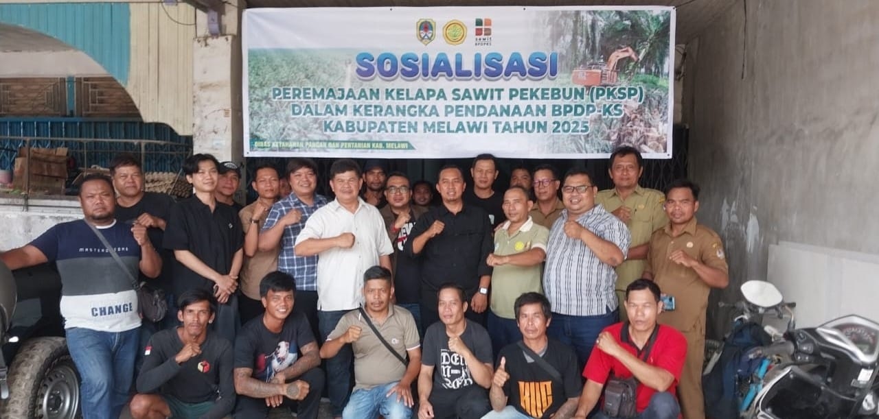 PEREMAJAAN SAWIT: Dinas Ketahanan Pangan dan Pertanian Kabupaten Melawi menggelar Sosialisasi Program Peremajaan Kelapa Sawit Perkebun (PKSP) dengan pendanaan dari BPDPKS, di Sekretariat Kelompok Tani