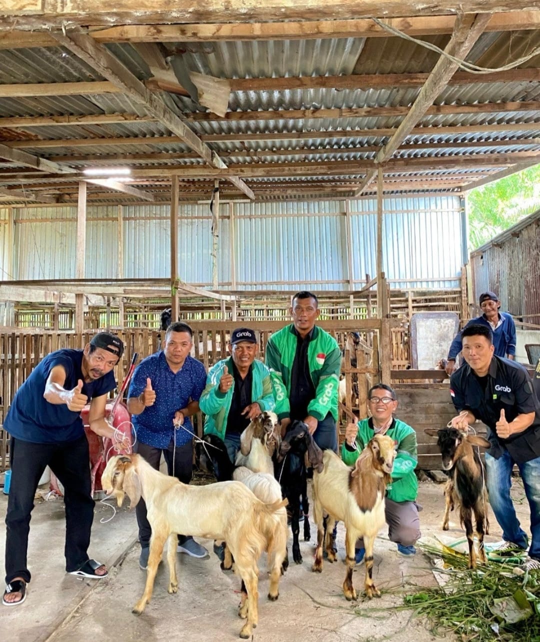 HEWAN KURBAN: Salah seorang Mitra Pengemudi Grab aktif di Surabaya mendapat apresiasi berupa hewan kurban kambing dalam semarak Iduladha 1446 H.